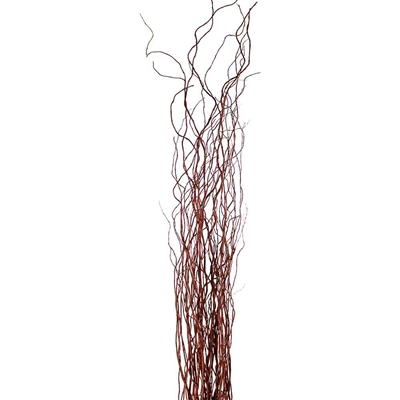 Dried Curly Willow Branches Bunch - Green Trees