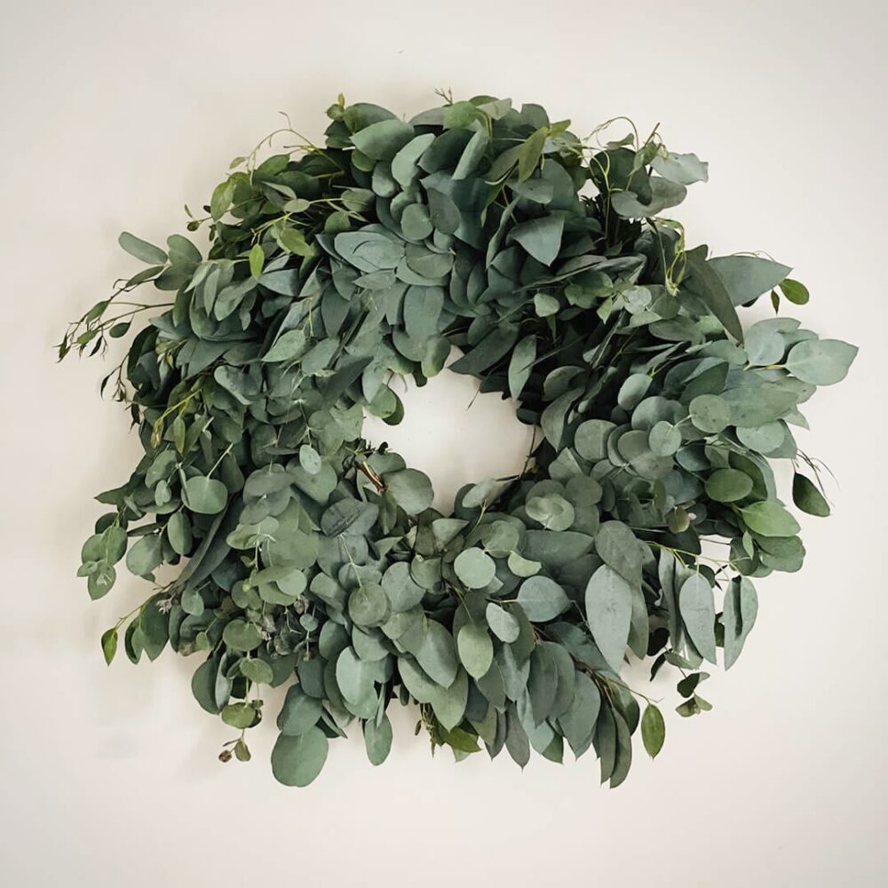 Fresh Glaucescens Eucalyptus Wreath Green Trees